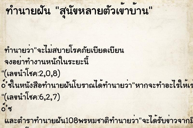 ทำนายฝัน สุนัขหลายตัวเข้าบ้าน ทำนายฝัน สุนัขหลายตัวเข้าบ้าน