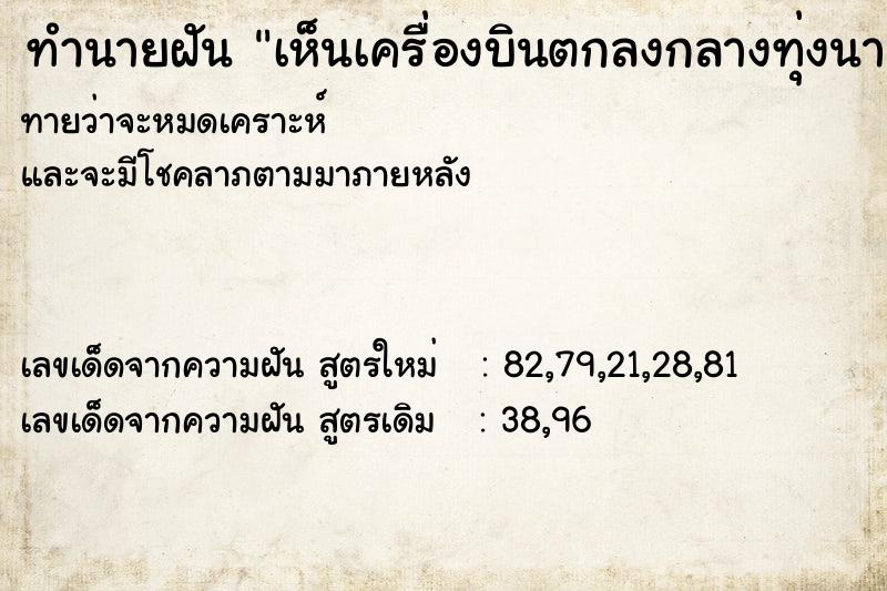 ทำนายฝันทำนายฝันเห็นเครื่องบินตกลงกลางทุ่งนา