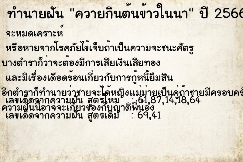 ทำนายฝัน ควายกินต้นข้าวในนา ทำนายฝัน ควายกินต้นข้าวในนา