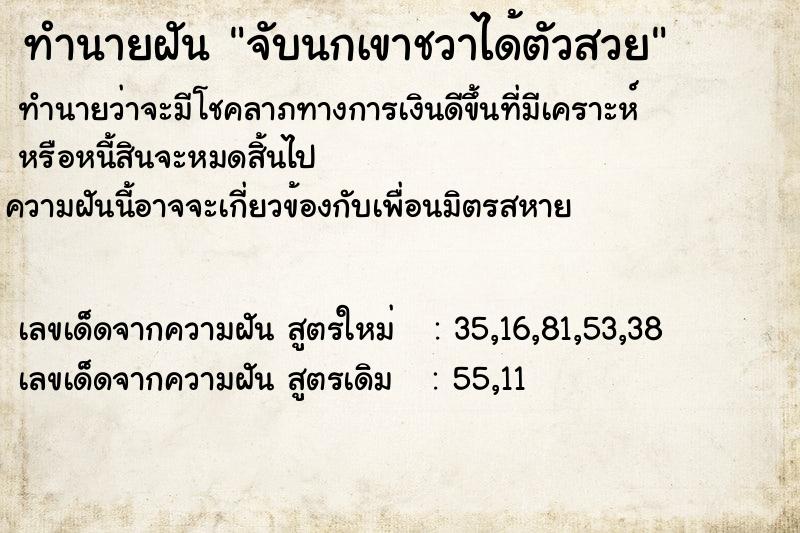 ทำนายฝัน จับนกเขาชวาได้ตัวสวย ทำนายฝัน จับนกเขาชวาได้ตัวสวย