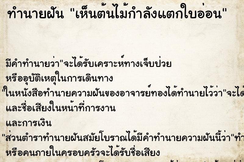 ทำนายฝัน เห็นต้นไม้กำลังแตกใบอ่อน ทำนายฝัน เห็นต้นไม้กำลังแตกใบอ่อน