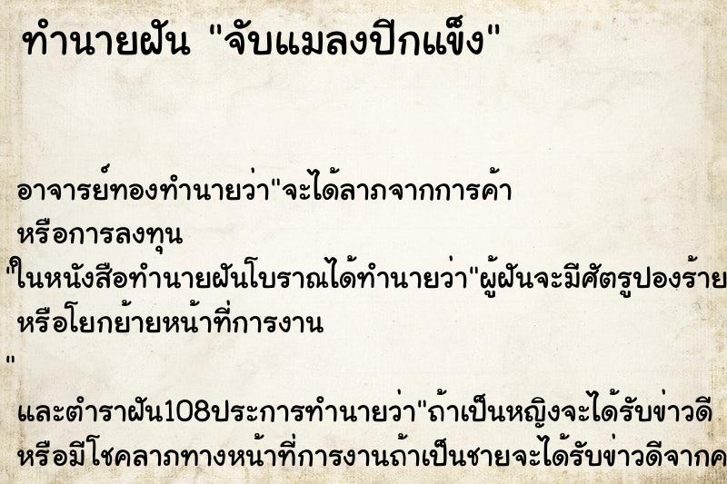 ทำนายฝันจับแมลงปีกแข็ง ทำนายฝันทำนายฝันจับแมลงปีกแข็ง