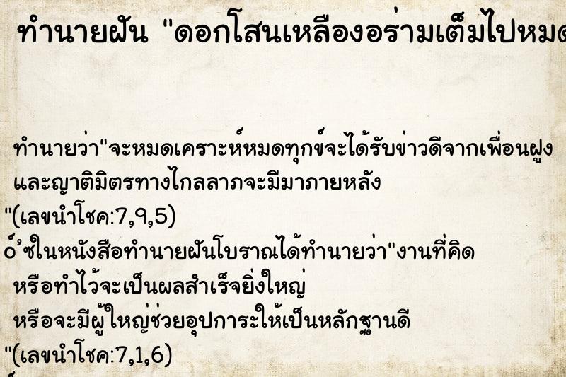 ทำนายฝัน ดอกโสนเหลืองอร่ามเต็มไปหมด ทำนายฝัน ดอกโสนเหลืองอร่ามเต็มไปหมด
