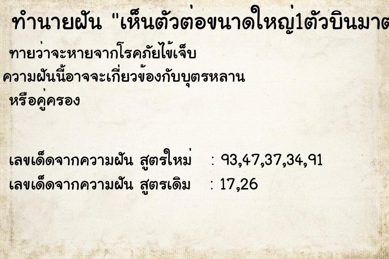 ทำนายฝันเห็นตัวต่อขนาดใหญ่1ตัวบินมาตอมตัวเอง ทำนายฝันทำนายฝันเห็นตัวต่อขนาดใหญ่1ตัวบินมาตอมตัวเอง