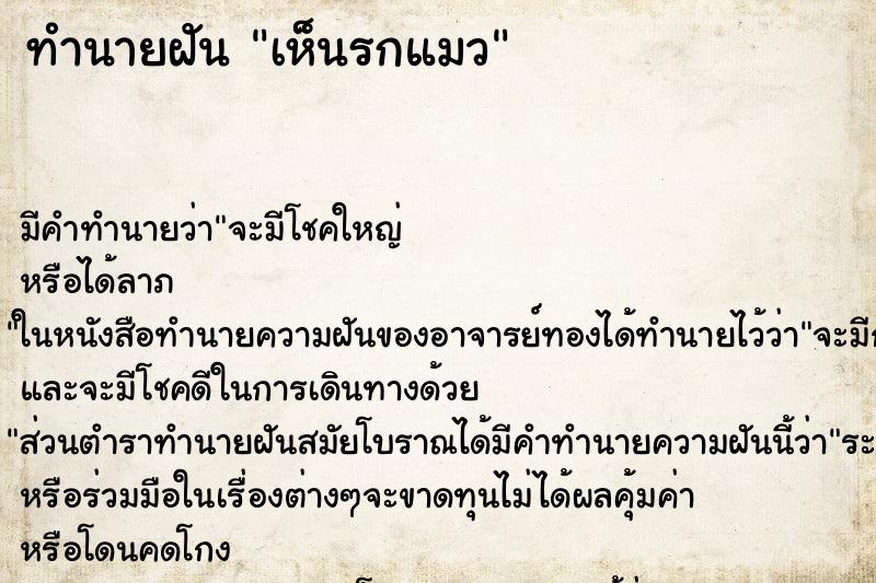 ทำนายฝันทำนายฝันเห็นรกแมว
