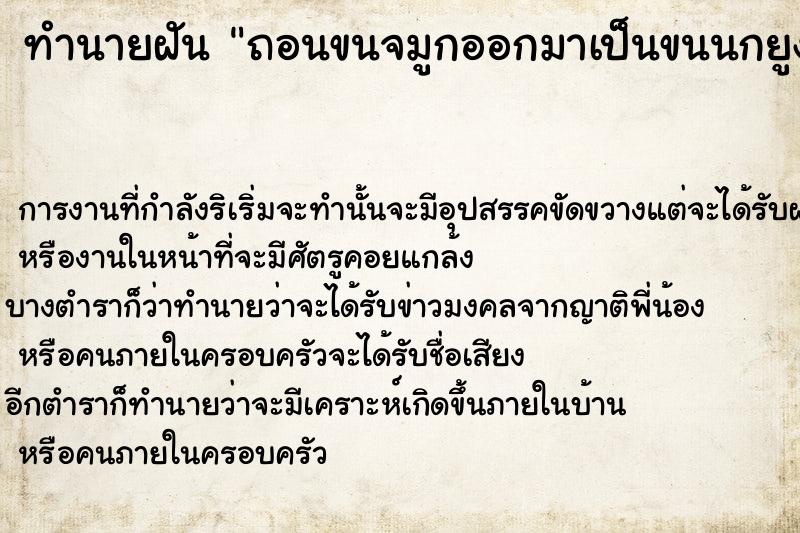 ทำนายฝันทำนายฝันถอนขนจมูกออกมาเป็นขนนกยูง
