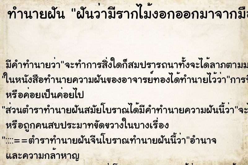 ทำนายฝันฝันว่ามีรากไม้งอกออกมาจากมือซ้าย ทำนายฝันทำนายฝันฝันว่ามีรากไม้งอกออกมาจากมือซ้าย