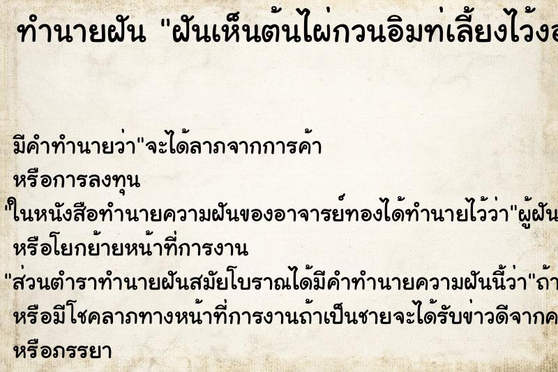 ทำนายฝัน ฝันเห็นต้นไผ่กวนอิมท่เลี้ยงไว้งอกงามดี ทำนายฝัน ฝันเห็นต้นไผ่กวนอิมท่เลี้ยงไว้งอกงามดี