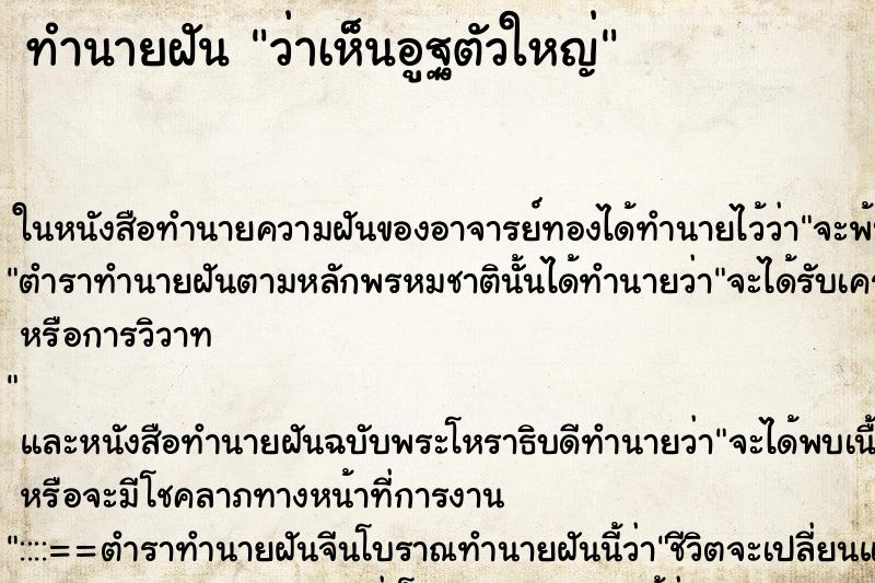 ทำนายฝันทำนายฝันว่าเห็นอูฐตัวใหญ่