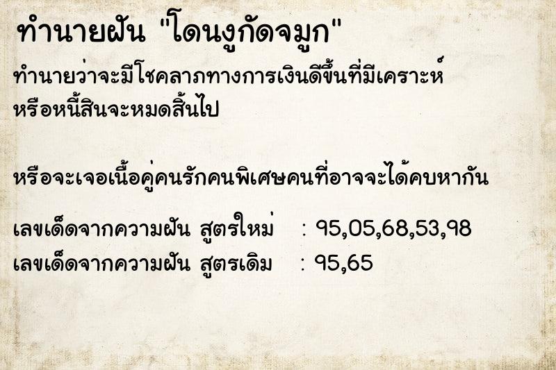 ทำนายฝันโดนงูกัดจมูก ทำนายฝันทำนายฝันโดนงูกัดจมูก