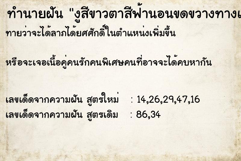 ทำนายฝันงูสีขาวตาสีฟ้านอนขดขวางทางเดิน ทำนายฝันทำนายฝันงูสีขาวตาสีฟ้านอนขดขวางทางเดิน