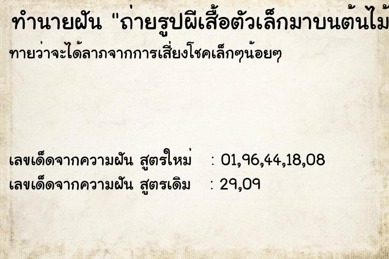 ทำนายฝันทำนายฝันถ่ายรูปผีเสื้อตัวเล็กมาบนต้นไม้