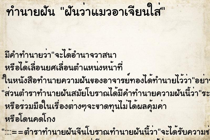 ทำนายฝัน ฝันว่าแมวอาเจียนใส่ ทำนายฝัน ฝันว่าแมวอาเจียนใส่