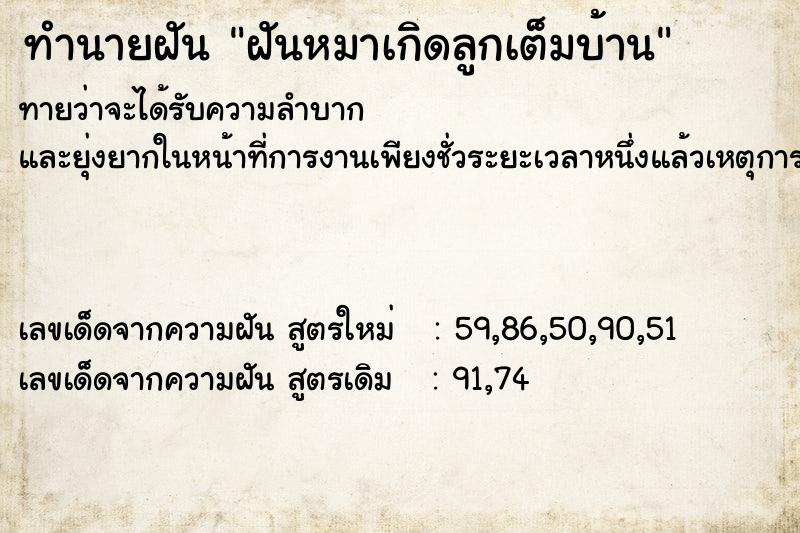ทำนายฝันฝันหมาเกิดลูกเต็มบ้าน ทำนายฝันทำนายฝันฝันหมาเกิดลูกเต็มบ้าน
