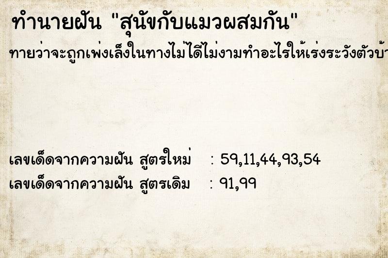 ทำนายฝันทำนายฝันสุนัขกับแมวผสมกัน