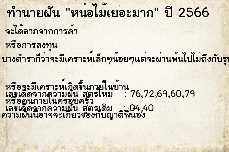 ทำนายฝัน หน่อไม้เยอะมาก ทำนายฝัน หน่อไม้เยอะมาก