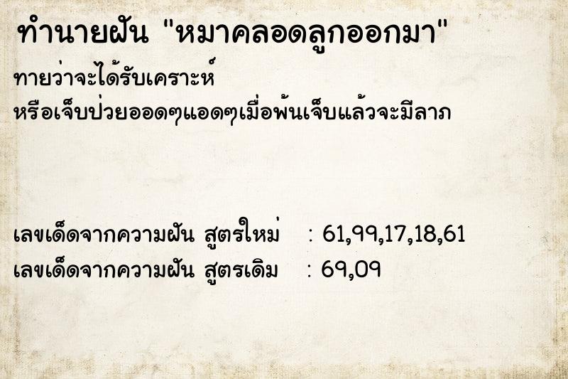 ทำนายฝันทำนายฝันหมาคลอดลูกออกมา