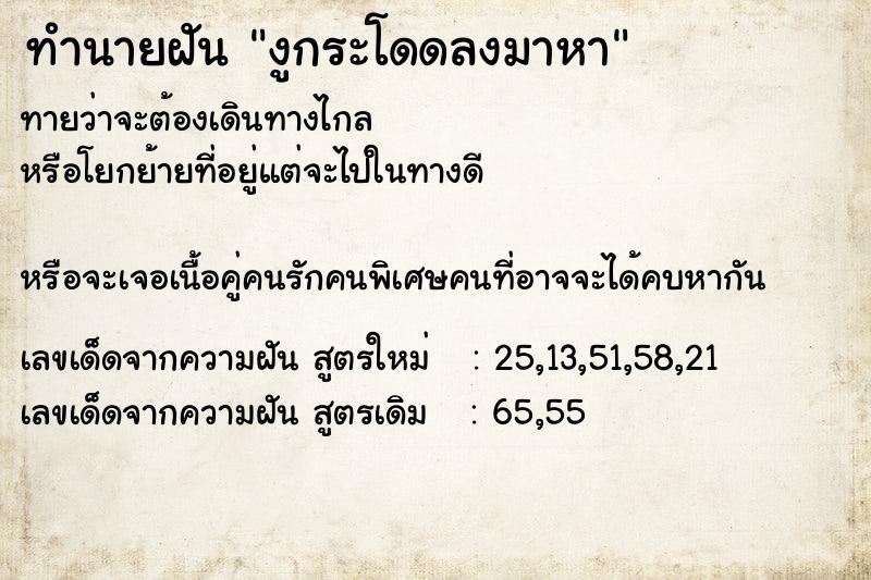 ทำนายฝันงูกระโดดลงมาหา ทำนายฝันทำนายฝันงูกระโดดลงมาหา