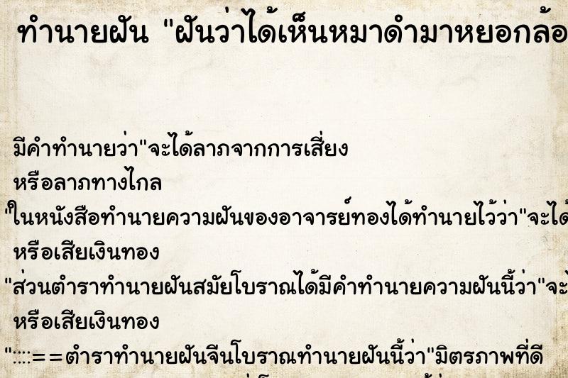 ทำนายฝัน ฝันว่าได้เห็นหมาดำมาหยอกล้อเล่นกับตัวเอง ตำราโบราณ แม่นที่สุดในโลก