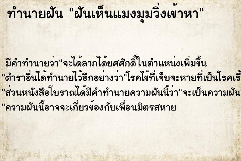 ทำนายฝันฝันเห็นแมงมุมวิ่งเข้าหา ทำนายฝันทำนายฝันฝันเห็นแมงมุมวิ่งเข้าหา