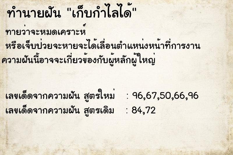 ทำนายฝันเก็บกำไลได้ ทำนายฝันทำนายฝันเก็บกำไลได้