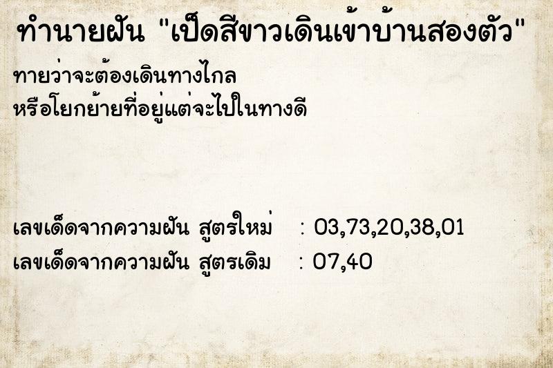 ทำนายฝันเป็ดสีขาวเดินเข้าบ้านสองตัว ทำนายฝันทำนายฝันเป็ดสีขาวเดินเข้าบ้านสองตัว