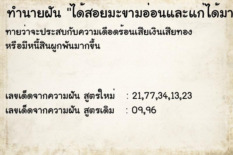 ทำนายฝันทำนายฝันได้สอยมะขามอ่อนและแก่ได้มาก