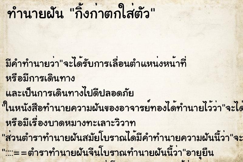 ทำนายฝัน กิ้งก่าตกใส่ตัว ทำนายฝัน กิ้งก่าตกใส่ตัว
