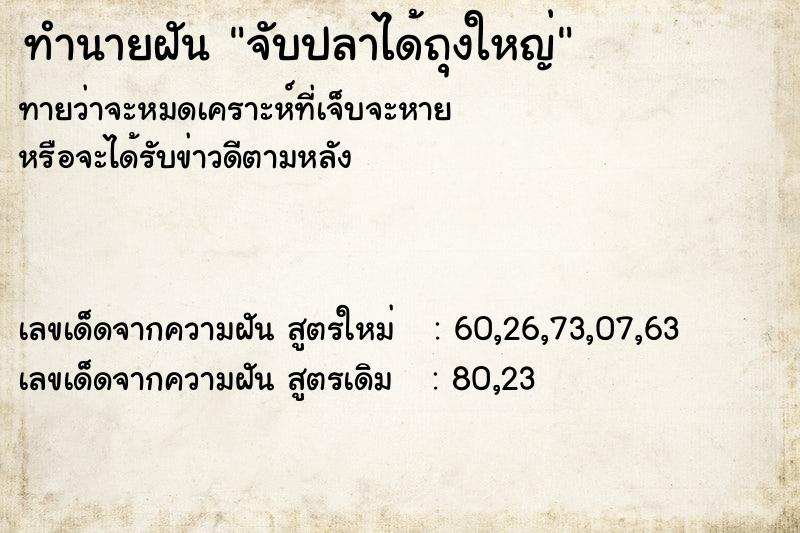 ทำนายฝันจับปลาได้ถุงใหญ่ ทำนายฝันทำนายฝันจับปลาได้ถุงใหญ่