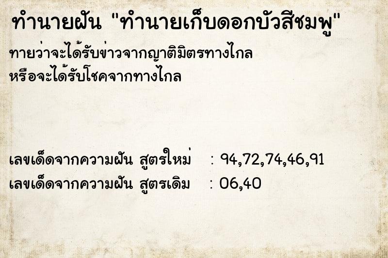 ทำนายฝันทำนายฝันทำนายเก็บดอกบัวสีชมพู
