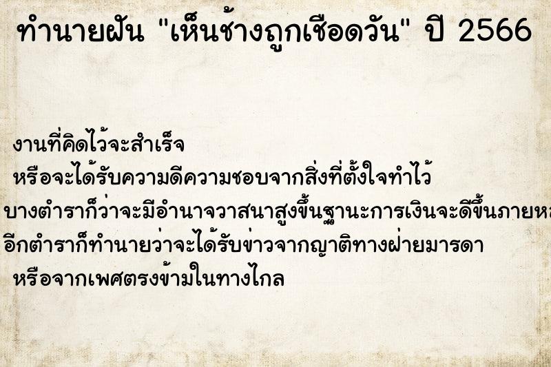 ทำนายฝันทำนายฝันเห็นช้างถูกเชือดวัน