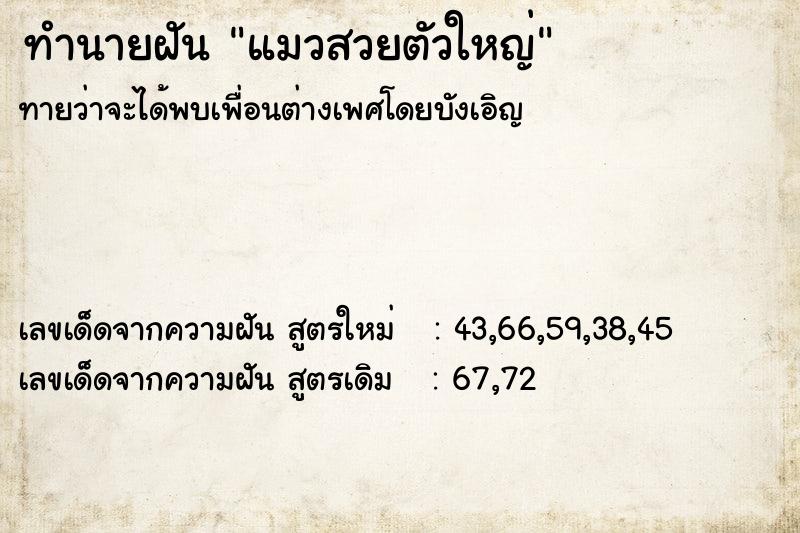 ทำนายฝันแมวสวยตัวใหญ่ ทำนายฝันทำนายฝันแมวสวยตัวใหญ่