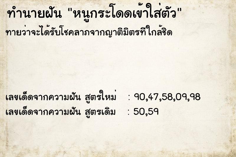 ทำนายฝัน หนูกระโดดเข้าใส่ตัว แม่นๆ ฟรี ด้วยตำราหนังสือทำนายฝันโบราณ ทำนายฝันหนูกระโดดเข้าใส่ตัว