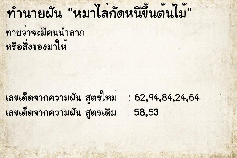 ทำนายฝัน หมาไล่กัดหนีขึ้นต้นไม้ ทำนายฝัน หมาไล่กัดหนีขึ้นต้นไม้