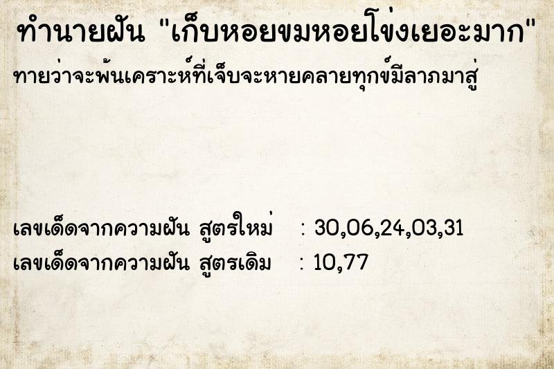 ทำนายฝันเก็บหอยขมหอยโข่งเยอะมาก ทำนายฝันทำนายฝันเก็บหอยขมหอยโข่งเยอะมาก