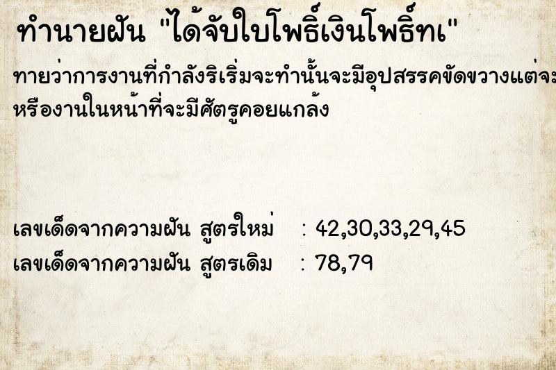 ทำนายฝันได้จับใบโพธิ์เงินโพธิ์ทà ทำนายฝันทำนายฝันได้จับใบโพธิ์เงินโพธิ์ทà