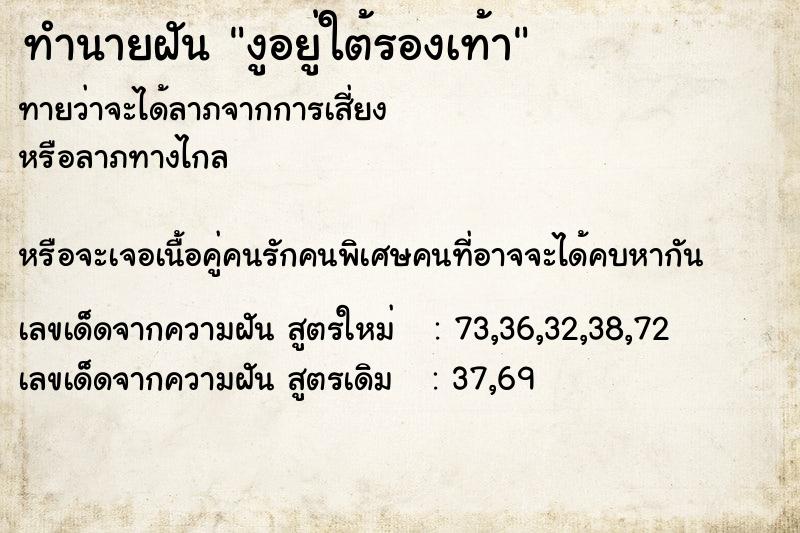 ทำนายฝันงูอยู่ใต้รองเท้า ทำนายฝันทำนายฝันงูอยู่ใต้รองเท้า