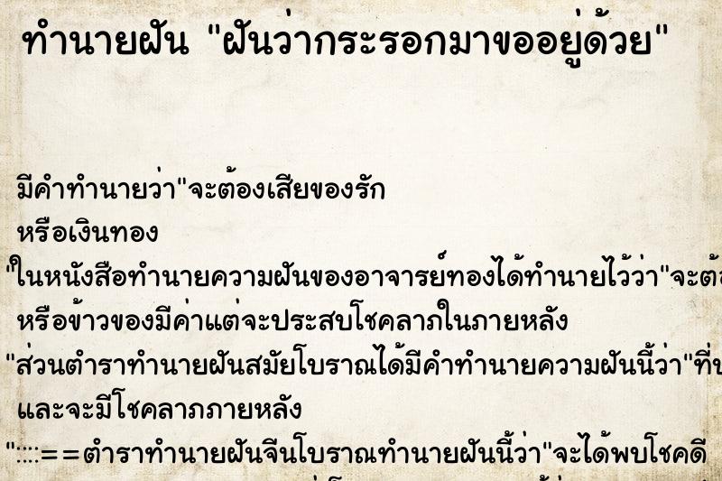 ทำนายฝัน ฝันว่ากระรอกมาขออยู่ด้วย ทำนายฝัน ฝันว่ากระรอกมาขออยู่ด้วย