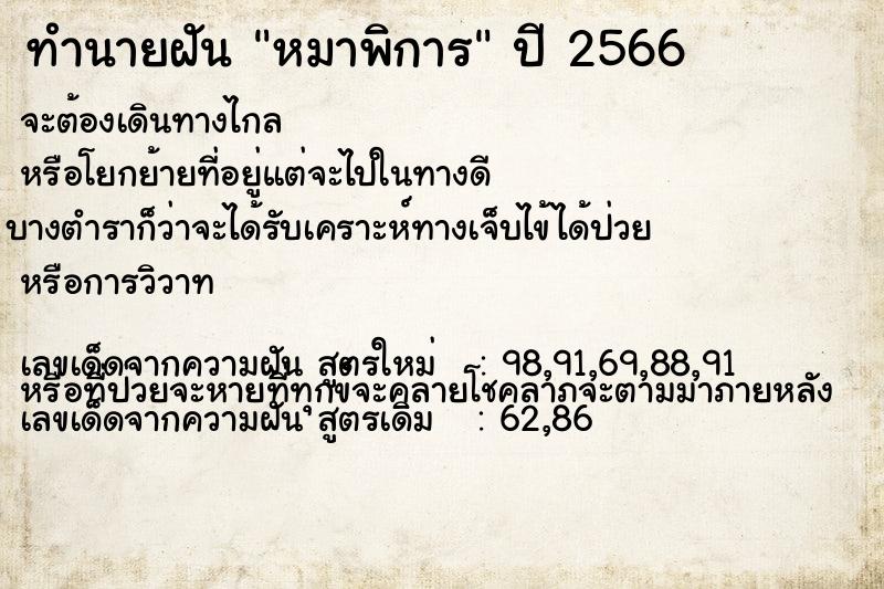 ทำนายฝัน หมาพิการ ตำราโบราณ แม่นที่สุดในโลก