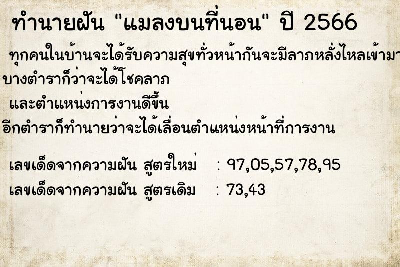 ทำนายฝัน แมลงบนที่นอน ตำราโบราณ แม่นที่สุดในโลก