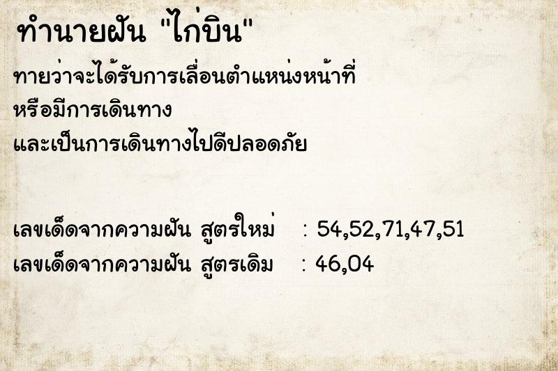 ทำนายฝันไก่บิน ทำนายฝันทำนายฝันไก่บิน