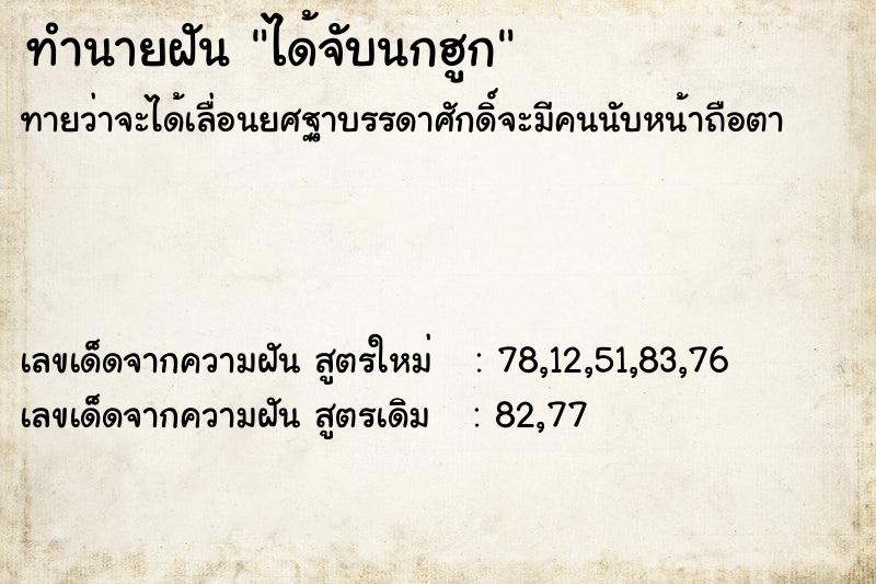 ทำนายฝันทำนายฝันได้จับนกฮูก