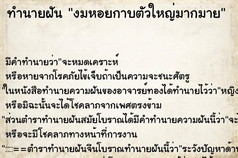 ทำนายฝัน งมหอยกาบตัวใหญ่มากมาย ทำนายฝัน งมหอยกาบตัวใหญ่มากมาย