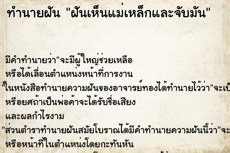 ทำนายฝัน ฝันเห็นแม่เหล็กและจับมัน ทำนายฝัน ฝันเห็นแม่เหล็กและจับมัน