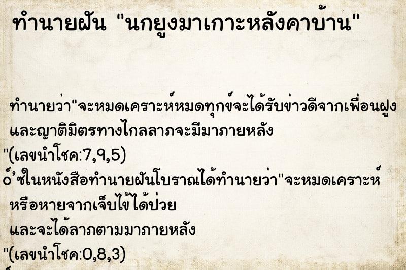ทำนายฝันนกยูงมาเกาะหลังคาบ้าน ทำนายฝันทำนายฝันนกยูงมาเกาะหลังคาบ้าน