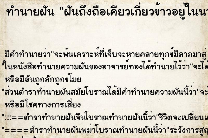 ทำนายฝันทำนายฝันฝันถึงถือเคียวเกี่ยวข้าวอยู่ในนา