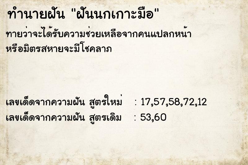 ทำนายฝันฝันนกเกาะมือ ทำนายฝันทำนายฝันฝันนกเกาะมือ