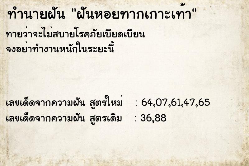 ทำนายฝัน ฝันหอยทากเกาะเท้า ทำนายฝัน ฝันหอยทากเกาะเท้า