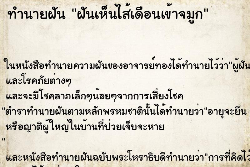 ทำนายฝันฝันเห็นไส้เดือนเข้าจมูก ทำนายฝันทำนายฝันฝันเห็นไส้เดือนเข้าจมูก