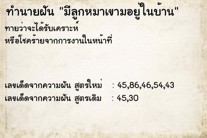 ทำนายฝัน มีลูกหมาเขามอยู่ในบ้าน ตำราโบราณ แม่นที่สุดในโลก